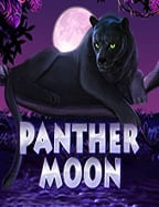 สมัคร bet365: รีวิวเชิงลึกสำหรับนักเดิมพันมืออาชีพ